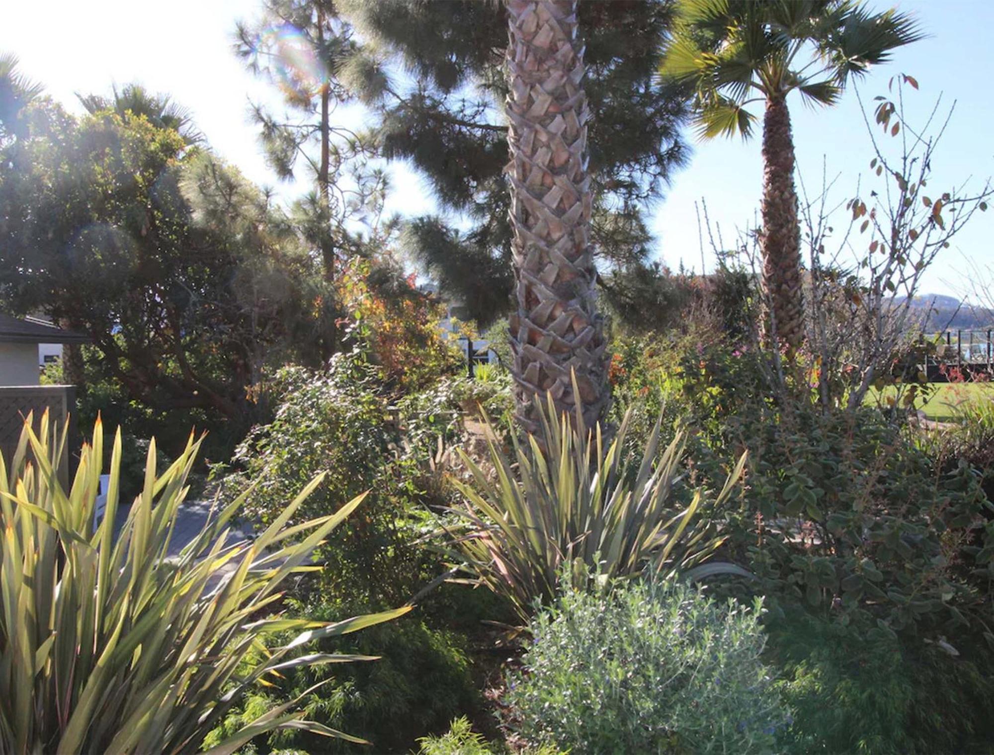 Back Bay Inn Los Osos Exterior photo