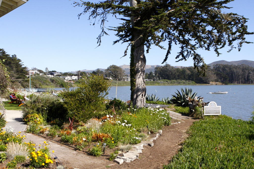 Back Bay Inn Los Osos Exterior photo