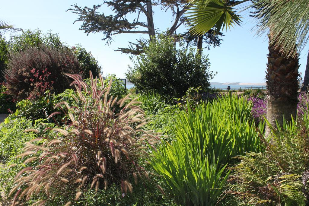 Back Bay Inn Los Osos Exterior photo